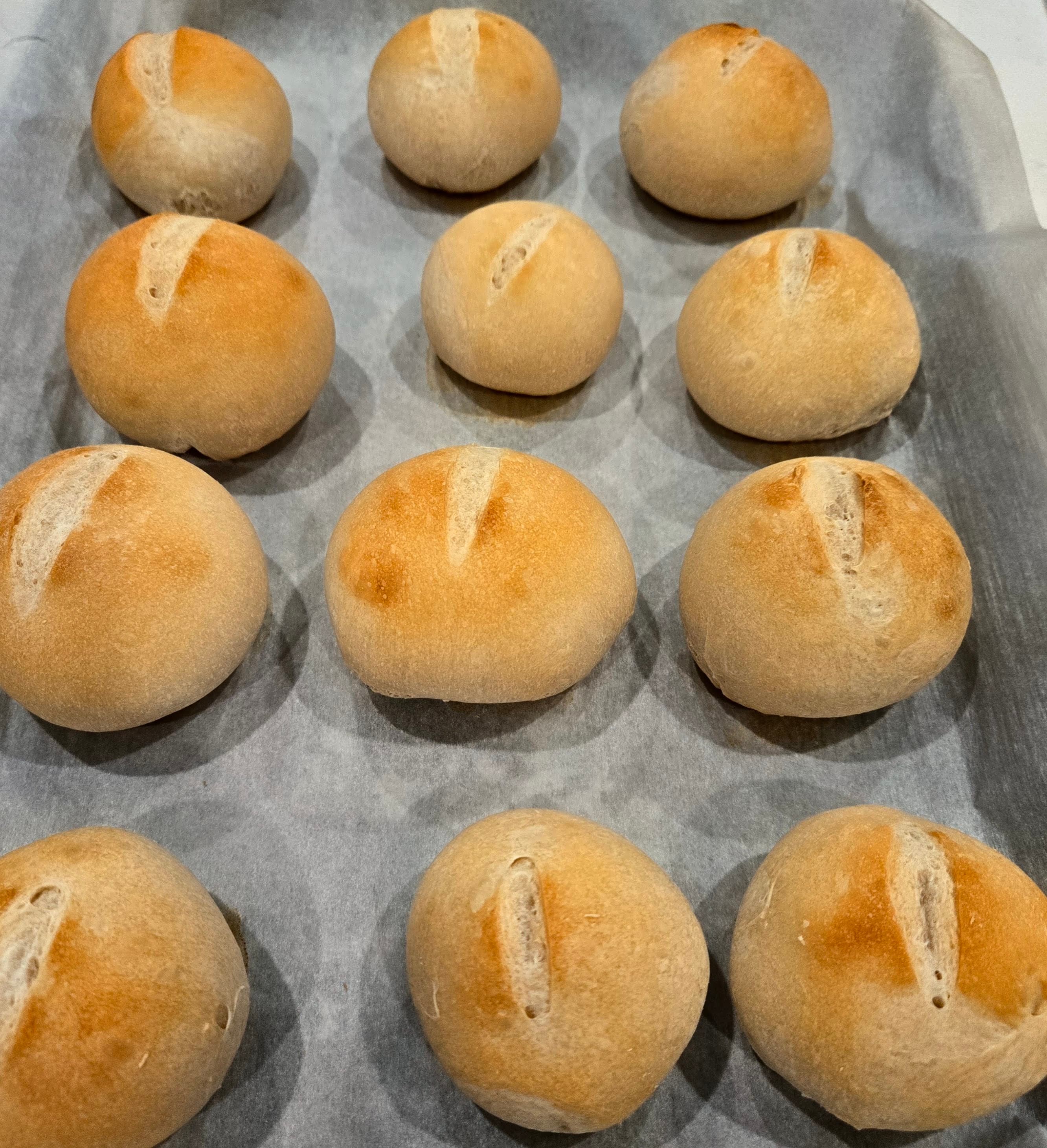 Sourdough Rolls 