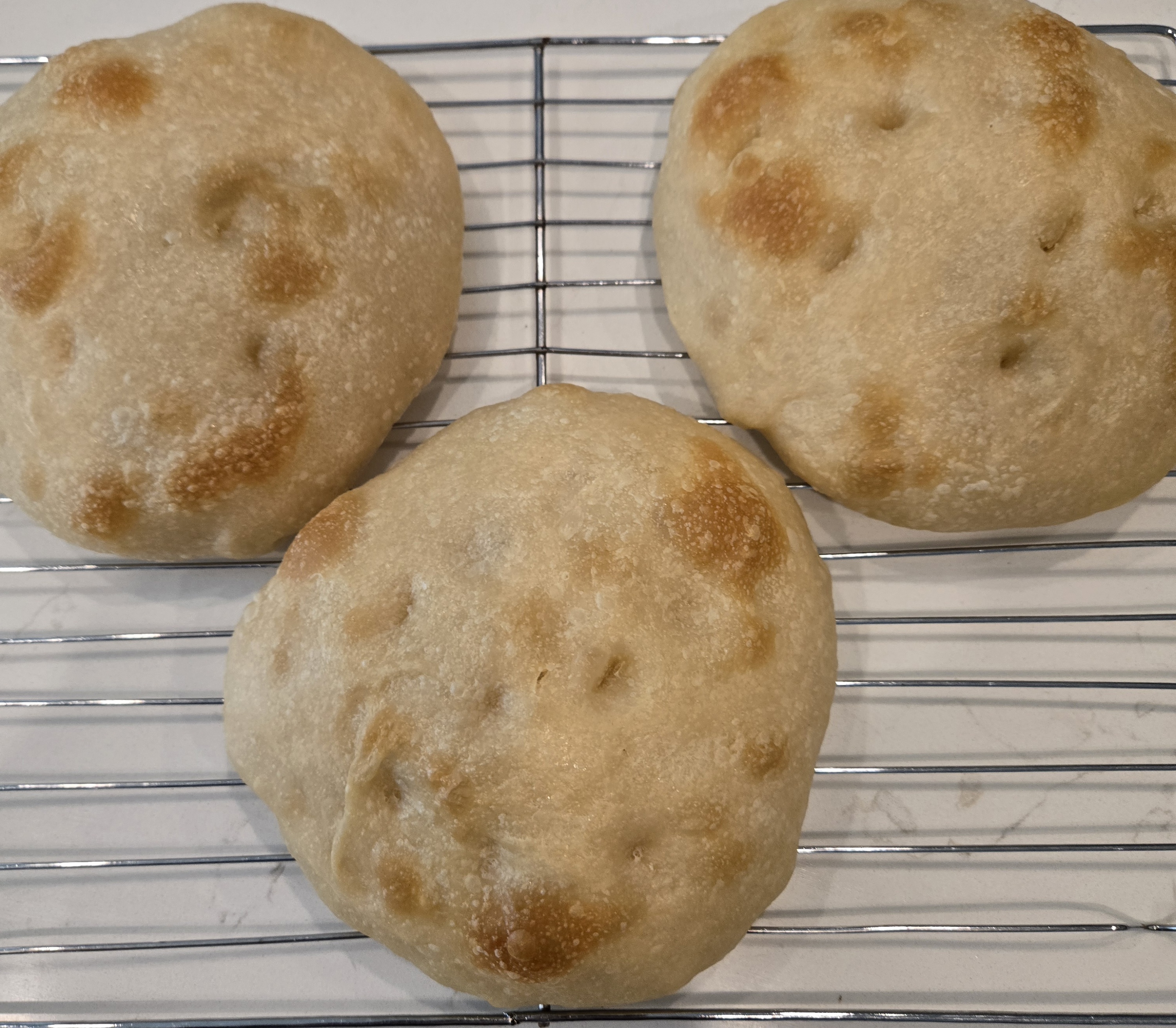 Sourdough Focaccia - Sandwich Roll